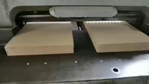 Local shipment Disposable paper foot pads 500 PCS Paper Foot Mat for carwash Paper auto repair auto detailing 16" x 20"