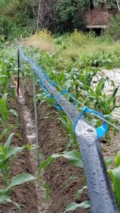 Understanding 1 Inch & 2 Inch PE Agricultural Irrigation Hoses