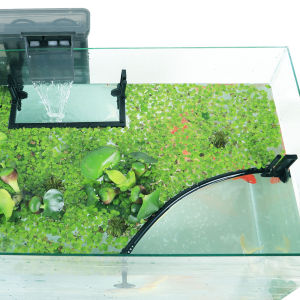 Aquarium Feeder Device Floating Plant Barrier Fish Food Dispenser Non-Automatic Indoor Fish Tank Feeding Tool Water Purification Grass