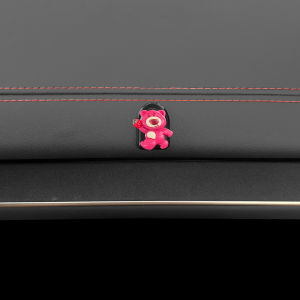 XINZHIXING | Multifunctional Front Seat Car Hook