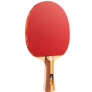 DHS | Beginner Student Ping Pong Racket Set