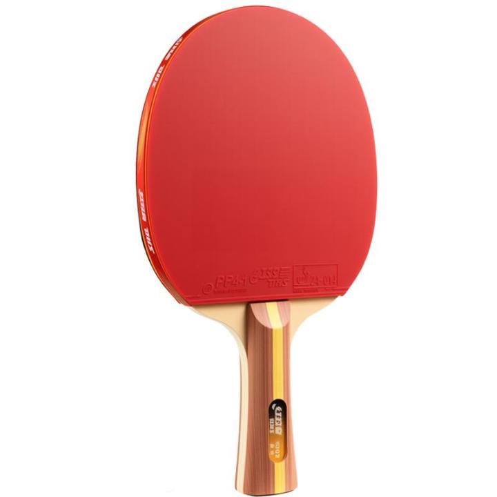 DHS | Children Beginner Table Tennis Racket Set | Lazada PH