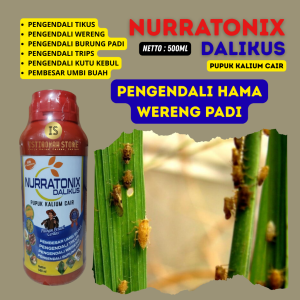 DALIKUS 500ML Obat Semprot Pengendali Hama Wereng Padi Paling Ampuh – Solusi Super Efektif Membasmi Wereng Hijau & Wereng Coklat Lindungi Tanaman dari Kerusakan Cegah Daun Menguning Tingkatkan Hasil Panen Petani