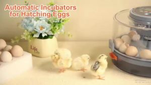 Pet Automatic Incubator 12 Egg Incubator Equipped with Egg Light Suitable for Small Animals Poultry Birds Etc