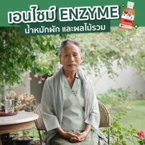 Sangdad Health Mart : N-Z  (เอ็น-ซี) เครื่องดื่มน้ำหมักผลไม้รวม 150 ml.(10 ขวด)