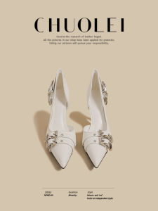 CHUOLEI | Spring New Style French Pointed Toe Strap High Heels