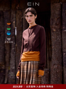 EIN Pure Wool Knitted Sweater Womens Autumn Winter New Style Color Block Fake Two-Piece Soft Comfortable Long Sleeve round Neck