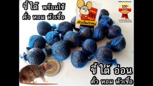 ของดักหนู พร้อมใช้คั่ว หอม 1-10 ก้อน เนื้อขี้ใต้เป็นเอกลักษณ์ พร้อมใช้ดักหนูนา ล่อหนูนา