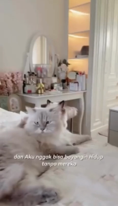 [ New Launch ] Airbot Supersonics 4.0 | 20000Pa Suction Cordless Vacuum Cleaner Handheld Stick Wireless Car HEPA