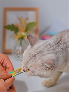 50Pcs Cat Snack Kucing Creamy 15gr Makanan Basah Cemilan Pengemukan Pelengkapa Hewan Peliharaan