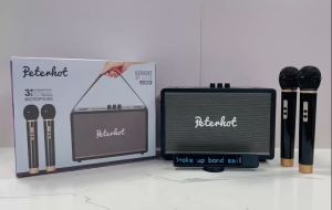 No.8 Shop A109W High power 20w Dual Microphone KTV Wireless Bluetooth Audio Outdoor Home Karaoke Bluetooth Speaker