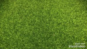 [Choo Choo Toy] Berus Botol Susu Baby Bottle Brush Set Nipple Brush Pacifier Brush Bottle Brush 奶瓶刷 - BKM22-Set