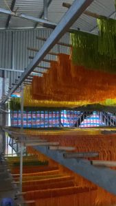 500gr Bún ngũ sắc đặc sản Cao Bằng bún làm từ rau củ lá rừng tự nhiên thơm ngon dinh dưỡng