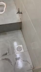 APPLE PAINTS ( FULL SET FLAKES ) ( 1KG FLAKE+1L PRIMER+1L CLEAR COAT+FREE TOOLS ) TOILET FLOOR TILES P99