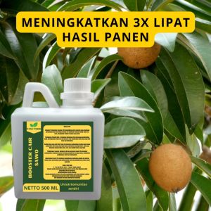 Pupuk Buah Sawo: Cara Meningkatkan Kualitas dan Hasil Panen