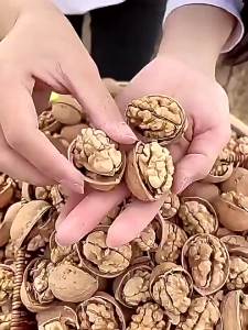 Pregnant Women Suitable Fresh Aksu Paper Skin Walnut 5 catties