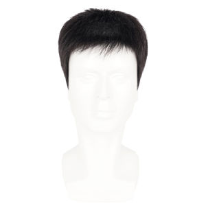 Weiwei | Men Full Coverage Wig Breathable Natural Look