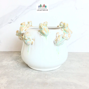 The Leaferie Havor Frog plant pots. flowerpot . flowerpots . flower pot . planter . planters . Ceramic