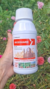 [THIEN THINH SHOP] RICEGUARD 40 OD 500ml – Thuốc Trừ Cỏ Hậu Nảy Mầm Trên Lúa