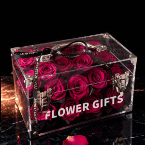 MLZH | Eternal Rose Acrylic Suitcase