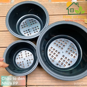CNTTO - Combo 5 chậu tô nhựa PP cao cấp chắc chắn chuyên trồng cây sen đá xương bonsai cây để bàn