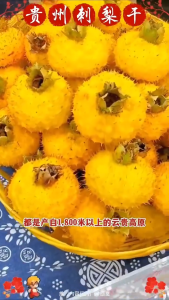 Local Ship Premium Rosa roxburghii Preserved Fruit Natural Goodness Chewy Texture 刺梨干 贵州特产刺梨果干 刺梨果脯 酸甜零食 补充VC Dried Pear Fruit Dried Wild Prickly Pear C  补充维生素 提高免疫力 Hot