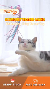 Stardust Teaser Wand – Enchanting Fairy Teaser Toy for Cats