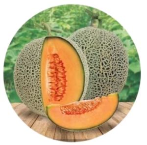 BENIH MELON MADU SUPER NEW ALYA REPACK  200 BIJI TERMURAH DAN TERLARIS