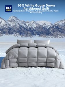 HLA | Warm Thick Down Comforter 95% White Goose Feather Dual Use For Winter And Spring/Fall 2-Person