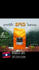 500g เมล็ดกาแฟคัด กาแฟลาว Loas Arabica Bolavens Honey Process 1DD Coffee Bean