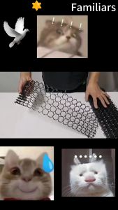 พร้อมส่ง หนามไล่แมว ยางหนามแมว ปลอดสารพิษ พร้อมส่ง สมาธิ ความสวย หนังสื้อ สุดยอดเสริมสร้างสุด