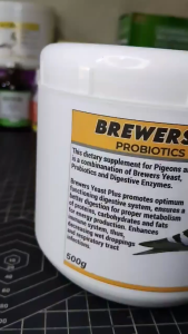 BREWERS YEAST PLUS (PROBIOTICS + DIGESTIVE ENZYMES)
