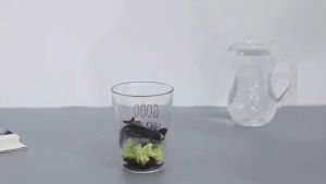 serbuk bubuk pembersih pelancar anti sumbat saluran air BAS