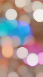 CETAKAN NASI BULAT & CETAKAN NASI PADANG: PANDUAN LENGKAP