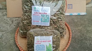 gói 100g cây dạ cẩm sấy khô TẶNG 50G CỎ NGỌT