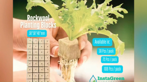 Rockwool Planting Blocks for Seed Planting and Germination Hydroponics