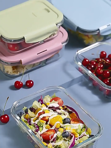 CLARAVA Lunch Box Microwaveable with Cover and Divider Leak Proof Glass Bento Box Transparent Food Keeper 玻璃饭盒 餐盒
