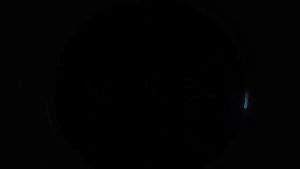 Wantech Pet Dryer Room เป่าขนแมว เครื่องเป่าลมคู่ของแท้ ไดร์ขนสุนัขเครื่องเป่าขนสัตว์เลี้ยงอัตโนมัติ