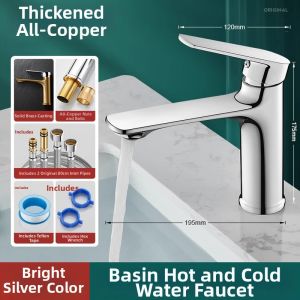 Stainless Steel Home Use Cold & Hot Basin