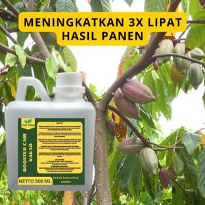Pupuk Pelebat Kakao / Pupuk Buah Kakao / Pupuk Booster Kakao / Pupuk Kakao