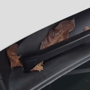 Durable Automotive Wiper Hole Protectors Prevent Leaves from Clogging GM Windshield Wiper Hole Protectors Automotive Accessories