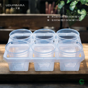 Transparent Plastic Flower Pot for Experimenting Orchid Planting Asters Bulbous Plants Reproduction And Seedling Cultivation