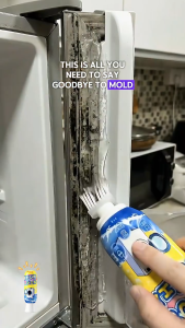 【SG】✨[Built-in Brush] Japan Magic Mould & Mold Remover Gel Deep Cleaning Mildew Cleaner for Washing Machine/Bathroom/Grout 200g