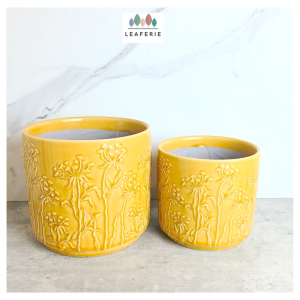 The Leaferie Avara plant pots Ceramic flowerpot flowerpots flower pot planter planters