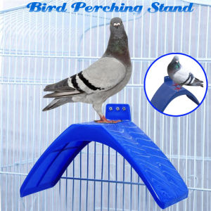5/10PCS Pigeon Rest Stand Frame Grill Dwelling Roost Pigeon Perches Roost Bird Equipment