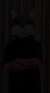 D-Craft หน้ากากหมาป่าสามมิติสุดเท่ DIY Low Poly Wolf Papercraft Mascot Cosplay Party