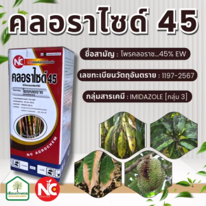 คลอราไซด์ 45 (โพรคลอราช)สูตรเย็น ฉีดผ่าดอกได้ สารป้องกันและกำจัดโรคพืชที่เกิดจากเชื้อรา ขนาด 1 ลิตร