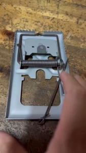 Bẫy Chuột Vuông Răng Cưa ( 15 * 9cm ) 1 cái