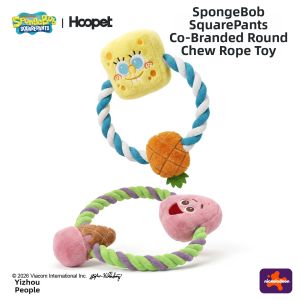 HOOPET | Chew Rope Interactive Sounding Dog Toy