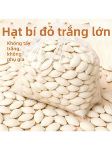Handmade Large Pumpkin Seeds